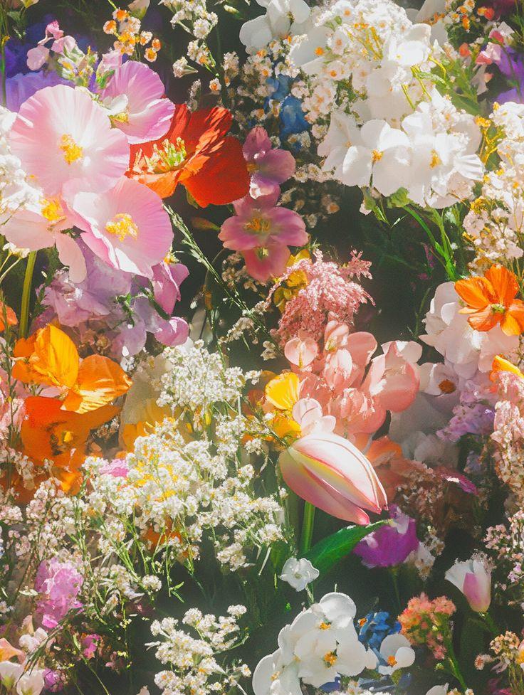 CoveNestDistant workshop space where corporate flower arrangements are designed and prepared for business delivery